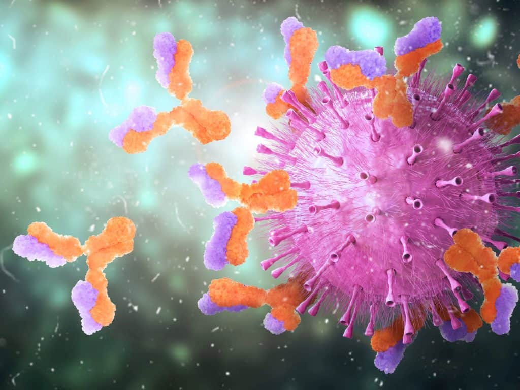Covid 19 Antibody Testing | antibodies pic