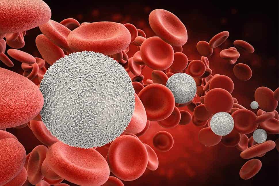 blood cancers in adults